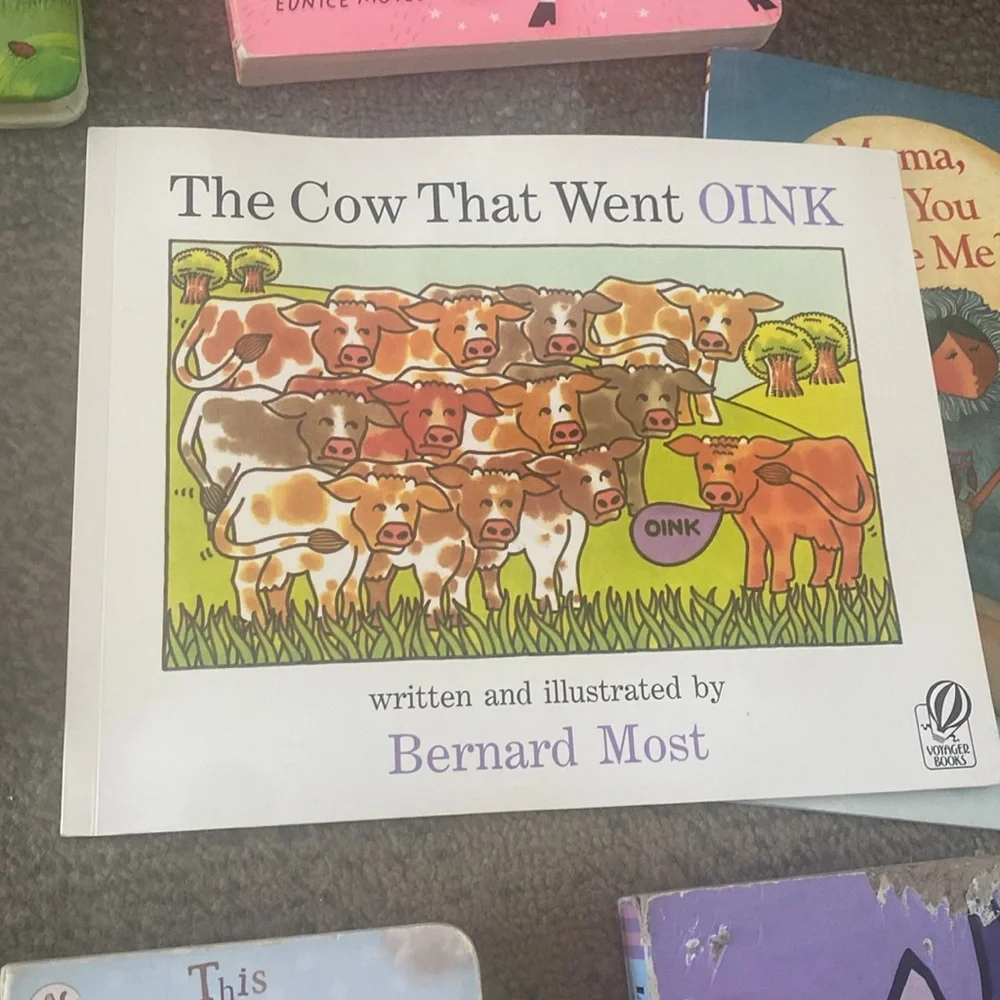 Children’s developmental book bundle x18